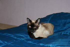 Tom, juillet 09