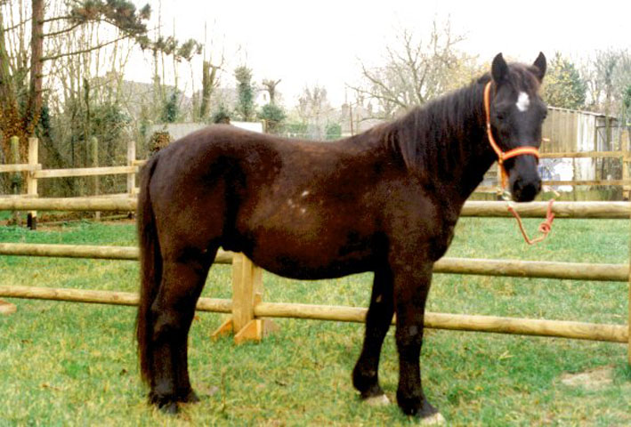 kerido_nov 2000
