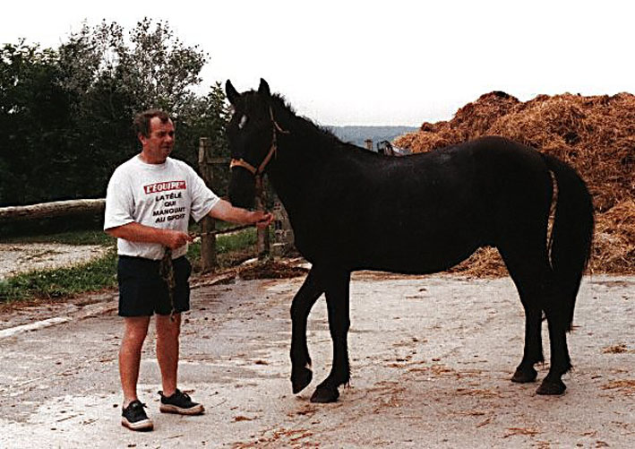 Kerido Arige