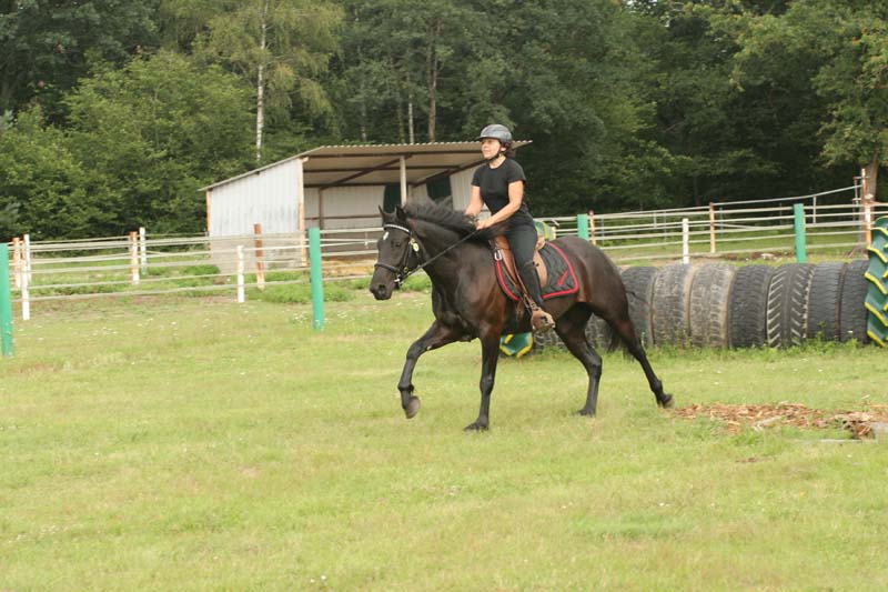 le galop
