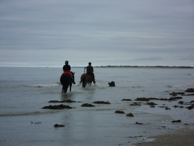 septembre_2011
