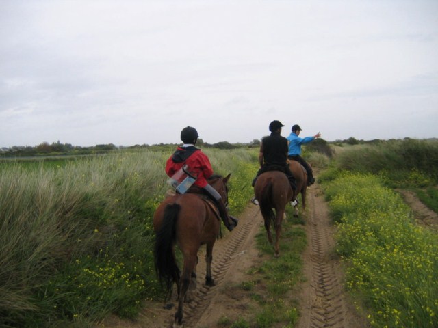 septembre_2011