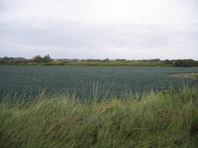 septembre_2011