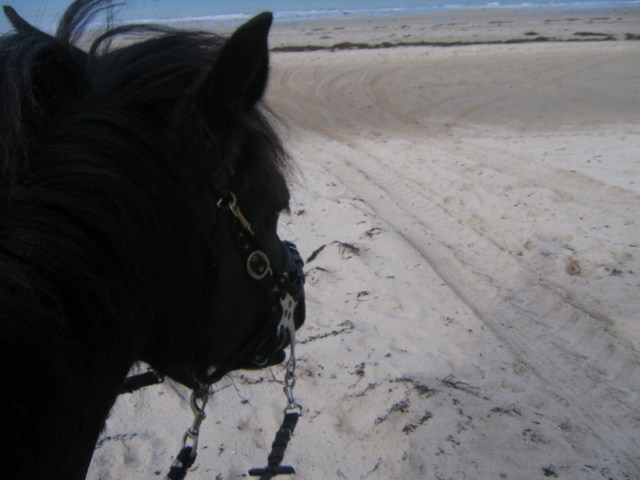 septembre_2011