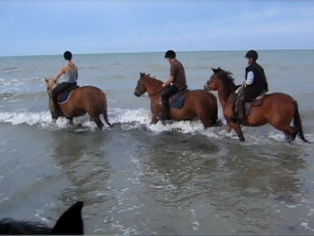 septembre_2011