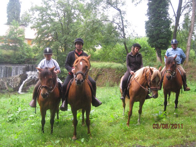 aot 2011