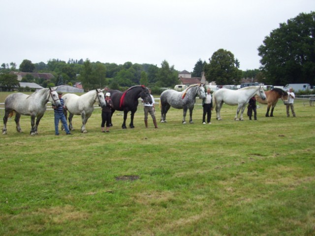 aot 2011