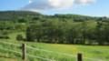 morvan_2012