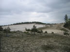 Fontainebleau Mai 2005