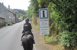 Limousin 2013