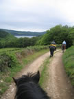 Morvan mai 2006