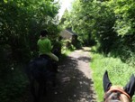 morvan 2018