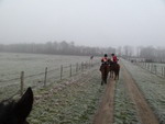 Noël 2011
