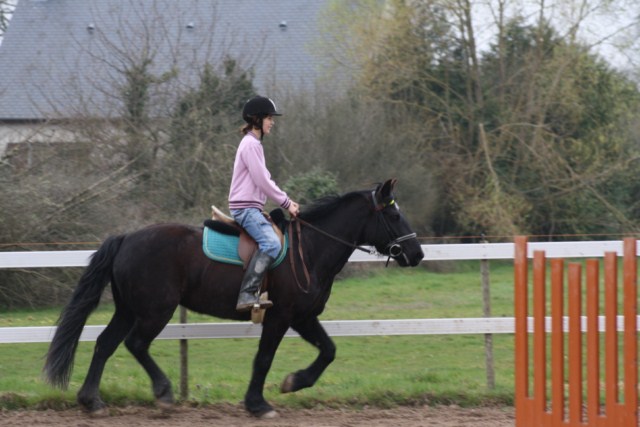 cours_vitry_2011