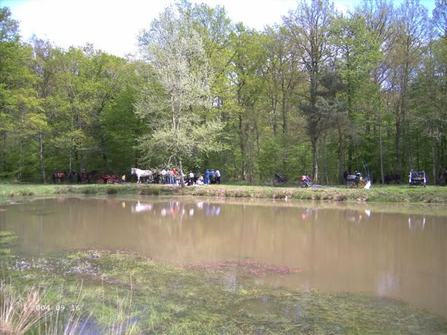 foret_orleans