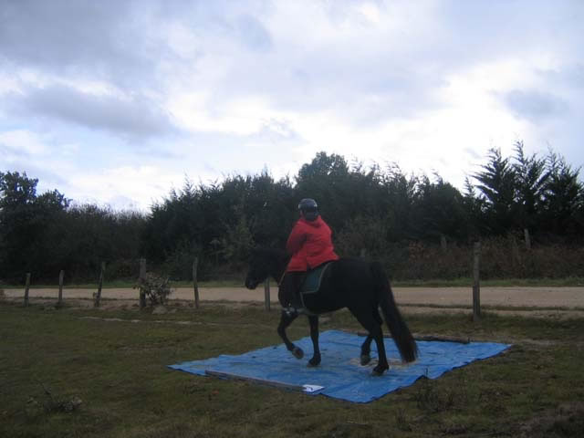 foret_orleans