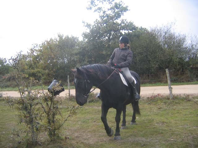 foret_orleans