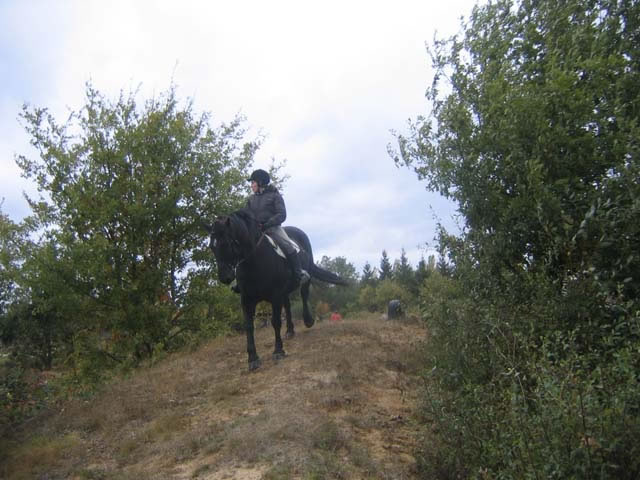 foret_orleans