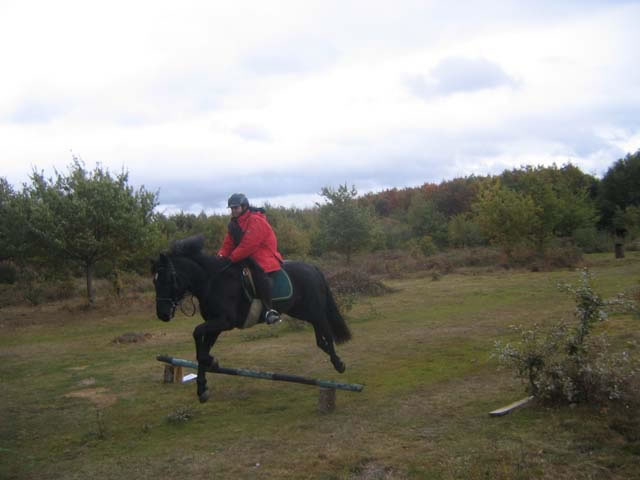 foret_orleans