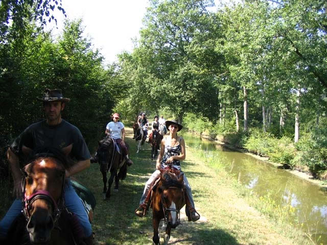 foret_orleans