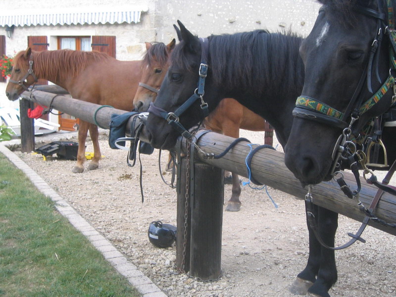 sortie_nuit-2009