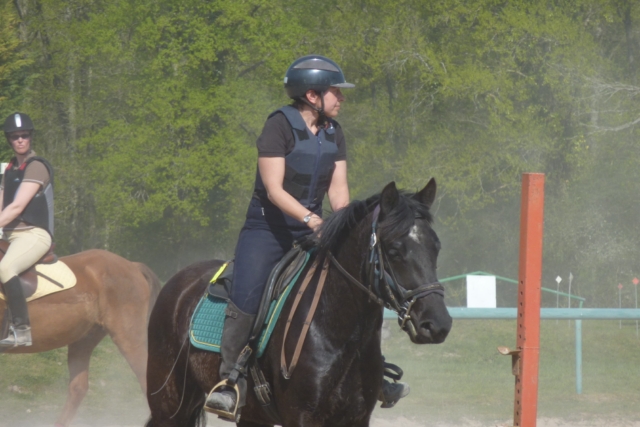 trec2010
