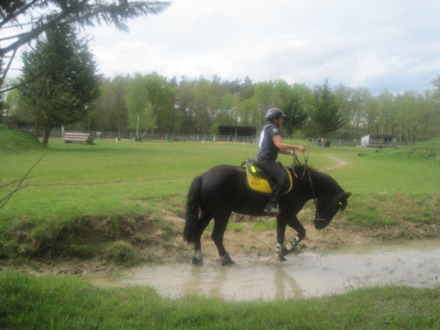 trec2010