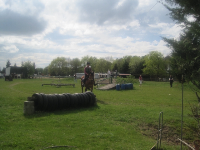 trec2010