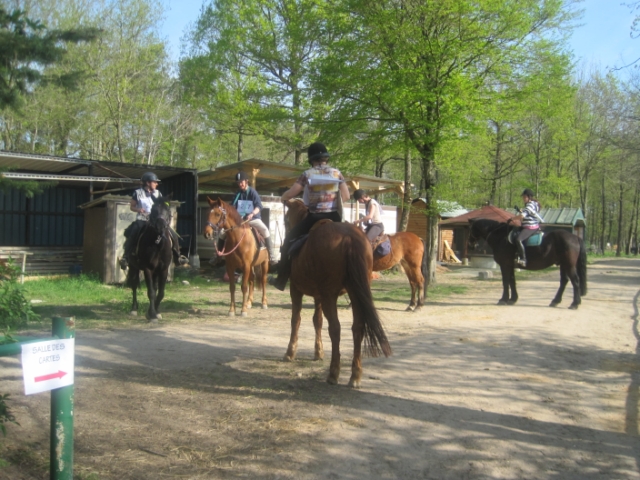trec2010