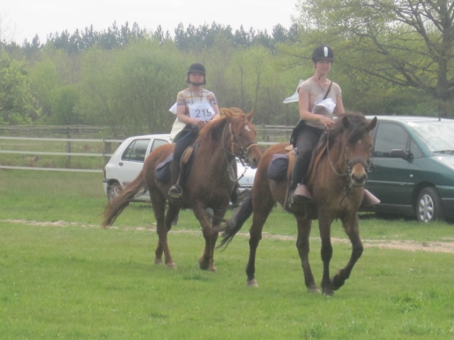 trec2010