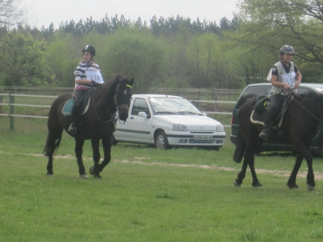 trec2010