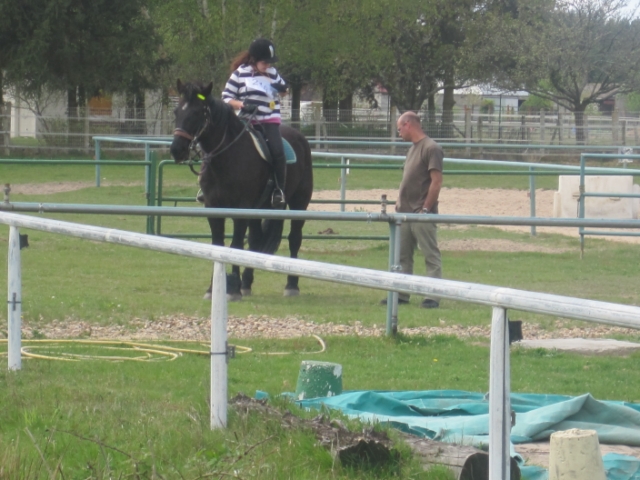 trec2010