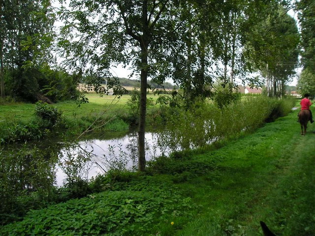 yevre_sept_2007