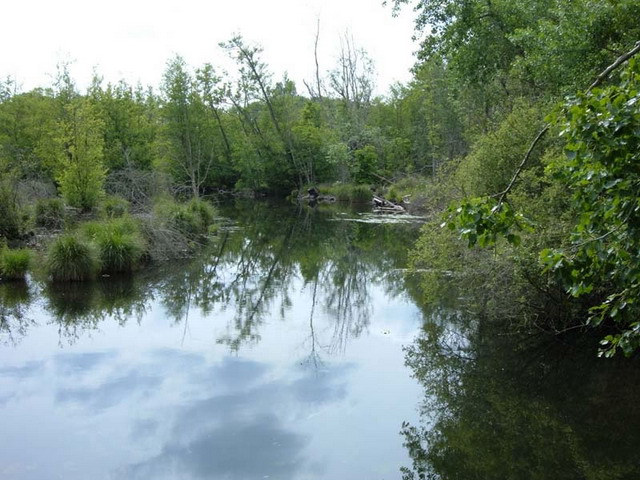 ymonville_mai2005