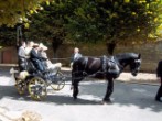 Mariage Cline et Jean-Charles