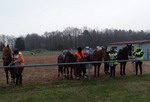 Trec Bouzy 2013
